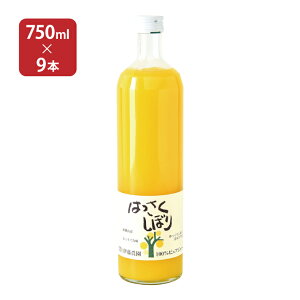 a̎RY ʏ` 100sAW[X ͂ڂ 750ml 9{ ɓ_  񂹕i