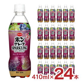 炭酸 POM グレープスパークリング 410ml 24本 サンヨー堂 えひめ飲料 ポン ペットボトル グレープ 送料無料