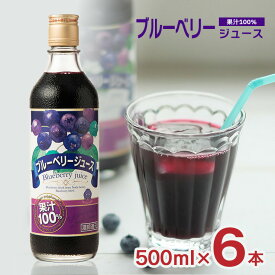 【7/19 20:00〜7/26 1:59 エントリーでP5倍】ブルーベリージュース 果汁100％ 500ml 6本 野田ハニー ブルーベリー ジュース 送料無料