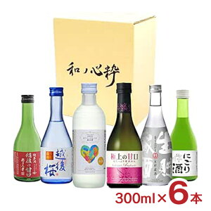 AEgbg Ì{ZNV 6ݔ 300ml 6{ { ݔ ܖԋ 󂠂 