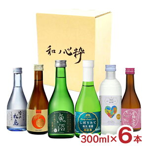 AEgbg VEHc nW߂Ď݂̂׃Zbg 300ml 6{ { ܖԋ  󂠂