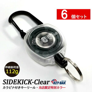 カラビナの人気商品 通販 価格比較 価格 Com