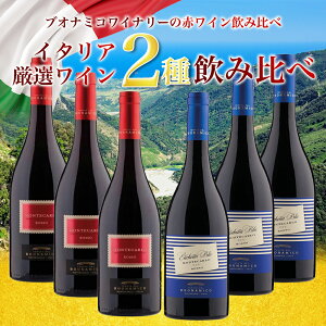  CZbg 6{ 20OFF C^A ԃC uIi~R ݔ ܂Ƃߔ  C^A gXJ[i C ݔ׃Zbg h BUONAMICO wine uIi~[R  ƈ p