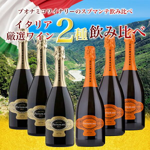  CZbg 6{ 20OFF C^A Xp[NOC uIi~R ݔ ܂Ƃߔ  C^A gXJ[i C ݔ׃Zbg Xv}e Ì h BUONAMICO wine 