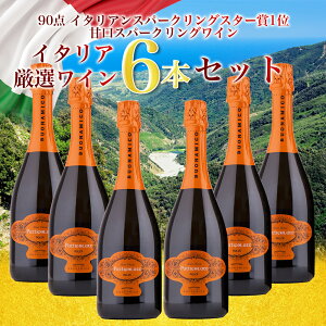  CZbg 6{ 20OFF uIi~R peBR[ XJ[g h`F Xv}e 750ml×6{܂Ƃߔ  C^A C Zbg BUONAMICO wine uIi~[R  ƈ