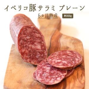 P5{@420F00|111F59܂Ł@CxR@T~@v[@5Jn@XyCY@y300gzy①i/ⓀE퉷iƂ̓sz