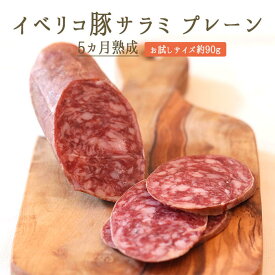イベリコ　サラミ　プレーン　5カ月熟成　＜スペイン産＞　【お試しサイズ約90g】【冷蔵品/冷凍・常温商品との同梱不可】