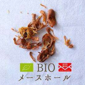 《送料無料　ゆうパケット》BIO　メース　ホール　メースリーフ　スパイス　ホールスパイス　【5g/10g】カレースパイス【常温品】【常温/冷蔵混載可】