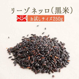 《送料無料　ゆうパケット》リーゾ　ネッロ（黒米）【250g】　＜イタリア産＞【常温/冷蔵混載可】【スローフード協会推奨】