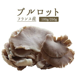 vbgiq^Pj@tbV@tXŶtXYy100g/250gzy①iz