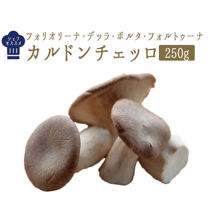 楽天市場 カルドンチェッロ フレッシュ きのこ イタリア キノコ イタリア産 250g 冷蔵品 東京468食材