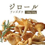 ★P5倍　14日20時-17日9：59まで★　ジロール　ジロール茸　（アンズダケ　アンズ茸）フレッシュ　giroll…