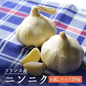 ɂɂ@jjN@ftXY@yTCY@200gzy①iz