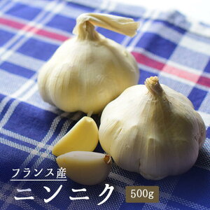 ɂɂ@jjN@ftXY@y500gzy①iz