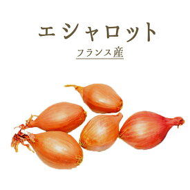 ◆エシャロット　フランス野菜　香味野菜　＜フランス産＞【200g/500g】【冷蔵品】