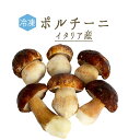 【冷凍】冷凍ポルチーニ＜イタリア産＞　porcini【250g/500g/1kg】【冷凍品/冷蔵・常温商品との同梱不可】