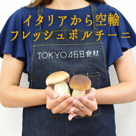 《9/25（金）より出荷》【季節限定】ポルチーニ　フレッシュ　＜イタリア・フランス産＞porcini【100g】【冷蔵品】