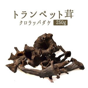 gybg@bp@îjtbVtXYy250gzy①iz