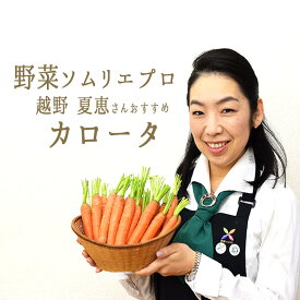 カロータ　(ニンジン）　＜イタリア＞野菜ソムリエおすすめ【1P=約250g】
