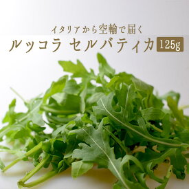 楽天市場 ルッコラ 生産国イタリア その他野菜 野菜 きのこ 食品の通販