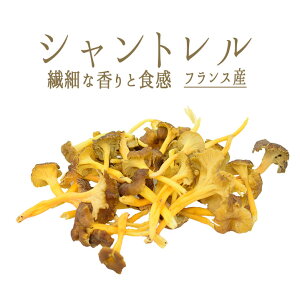 Vg@tbV@tXYy250gzy①iz