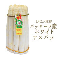 ホワイトアスパラ　バッサーノ　DOP　アスパラ　白アスパラ＜イタリアバッサーノ産＞　【1束＝約1kg】【…