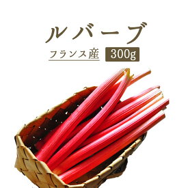 ルバーブ　rhubarb　西洋野菜　ジャムやタルトに＜フランス＞　【約300g】