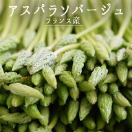 ソバージュ アスペルジュ　ソバージュ　アスパラ　＜フランス産＞　【150g/1kg】【冷蔵品】