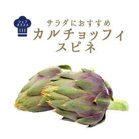 イタリア野菜　カルチョッフィ　スピネ（アーティーチョーク）【1個＝約150-250g】【￥730/100g再計算】＜イタリア産＞【冷蔵品】（大きさは季節や天候によって前後する可能性がございます）