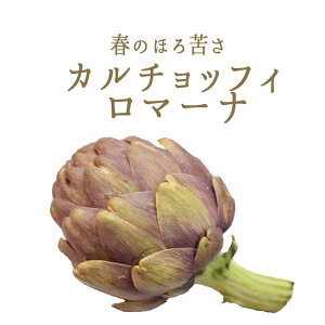 チョーク 野菜の人気商品 通販 価格比較 価格 Com チョーク 野菜の人気商品 通販 価格比較 価格 Com