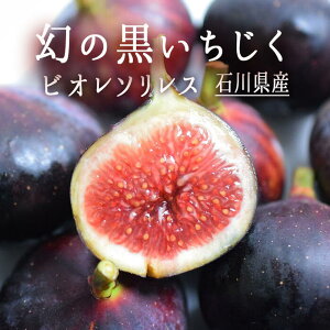 @iԉʁj@rI\X@rI\GX@P@ΐ쌧Y@y1P=300gUP@5-8z
