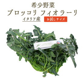 ブロッコリ　フィオラーリ　イタリア野菜　broccolo fiolaro 　＜イタリア産＞【250g】　【冷蔵品】【冷蔵品/冷凍・常温商品との同梱不可】
