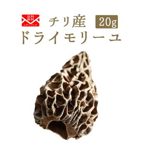 s@䂤pPbgt[@[@`Yy20gzy퉷iz