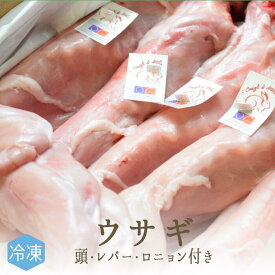 【冷凍】ウサギ肉　（頭無し・レバー、ロニョン付き）　＜フランス産＞　【1羽=約1.4-2kg】