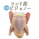【冷凍】食用鳩　仔鳩　ハト　（ピジョノー　Pigeonneau）頭・内臓付　エトフェ＜フランス　ランド産＞【1羽＝約400-4…