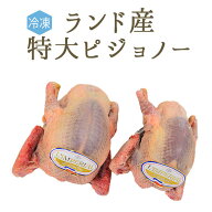 【冷凍】仔鳩　特大　ハト　（ピジョノー　Pigeonneau）頭・内臓付　エトフェ（窒息）＜フランスランド産…