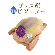 【フレッシュ　冷蔵】食用鳩　仔鳩　ハト　（ピジョノー　Pigeonneau）頭・内臓付　＜フランス　ブレス産…