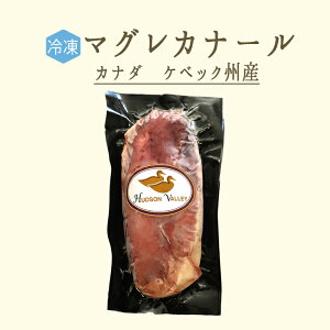 yⓀz[X@}O@Ji[ijcanard@Ji_P@xbNBY[hy370|400gzyⓀi/①E퉷iƂ̓sz