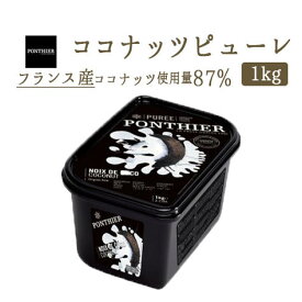 【冷凍】ココナッツ　ピューレ　1kg（PONTHIER社）冷凍フルーツ　フルーツピューレ