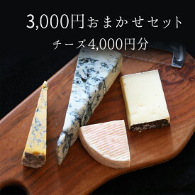 ＼超お得／《あす楽》　★チーズ★　おまかせセット　4,000円以上相当　【冷蔵品】福袋