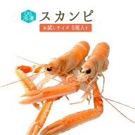 CAS冷凍　スカンピ（ラングスティーヌ）＜スコットランド産＞【1P＝5尾入り　約400g】【冷凍品/冷蔵・常…