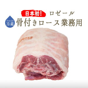 sty{㗤z  tbV er [Xt (Ɩp@wL) Z tX [[Yy1.3-2kgzy①i/ⓀE퉷iƂ̓sz