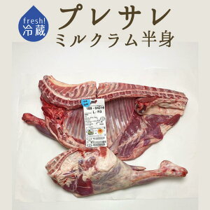 ytbV@①zvT@er @DOP@g@tXYy10kgz@y1,350/100gČvZzy①i/ⓀE퉷iƂ̓sz