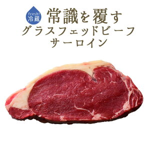 ytbV@①zwAtH[h@vCr[t@OXtFbh@r[t@T[C@y200-300gz[X@AChY