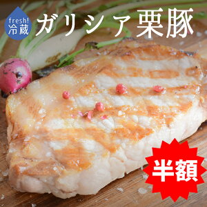 zytbV@①z@KVAI؁@[X@XyCYy200|300gzy①i/ⓀE퉷iƂ̓szX[p[Z[