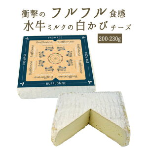 Z `[Y  C^A utk _WF^ C^AY y200-250gztt`[Y  `[Y A`[Y y①iz