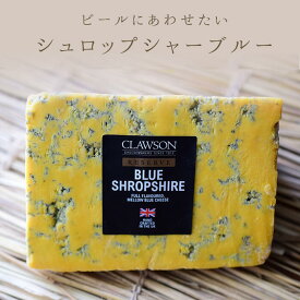 シュロップシャー ブルー ブルーチーズ Shropshire Blue 黄色い スティルトン【 約100g/約200g/約400g】＜イギリス産＞ お取り寄せ チーズ