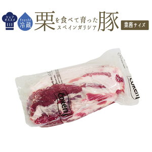 ytbV@①z@KVAI؁@@[XXyCYyƖp@TCY@2.5-3kgzy440/100gČvZzy①iz