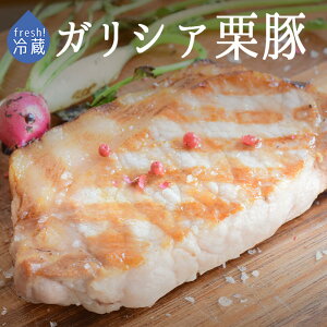 ytbV@①z@KVAI؁@[X@XyCYy200|300gzy①i/ⓀE퉷iƂ̓sz