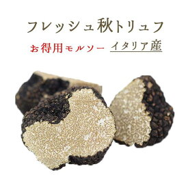 【季節限定】フレッシュ　 秋トリュフ 　オータムトリュフ 　トリュフ ＜お徳用 モルソー＞＜イタリア産＞【30g/550g/100g】【冷蔵品】